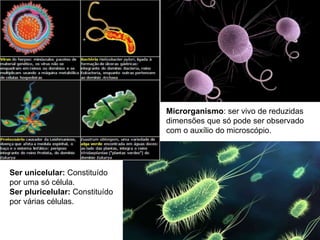 Microrganismo: ser vivo de reduzidas
dimensões que só pode ser observado
com o auxílio do microscópio.
Ser unicelular: Con...