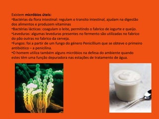 Existem  micróbios úteis: Bactérias da flora intestinal: regulam o transito intestinal, ajudam na digestão dos alimentos e produzem vitaminas Bactérias lácticas: coagulam o leite, permitindo o fabrico de iogurte e queijo. Leveduras: algumas leveduras presentes no fermento são utilizadas no fabrico do pão outras no fabrico da cerveja. Fungos: foi a partir de um fungo do género Penicillium que se obteve o primeiro antibiótico – a penicilina. O homem utiliza também alguns micróbios na defesa do ambiente quando estes têm uma função depuradora nas estações de tratamento de água. 