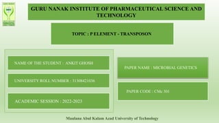 GURU NANAK INSTITUTE OF PHARMACEUTICAL SCIENCE AND
TECHNOLOGY
TOPIC : P ELEMENT - TRANSPOSON
NAME OF THE STUDENT : ANKIT GHOSH
UNIVERSITY ROLL NUMBER : 31308421036
ACADEMIC SESSION : 2022-2023
PAPER NAME : MICROBIAL GENETICS
PAPER CODE : CMc 301
Maulana Abul Kalam Azad University of Technology
 
