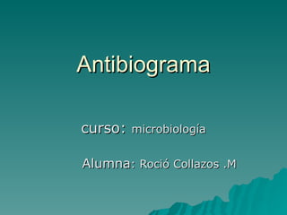 Antibiograma curso:  microbiología Alumna : Roció Collazos .M 