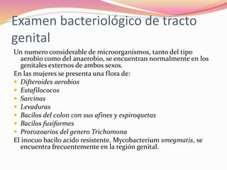 Examen bacteriológico de tracto
genital
Un numero considerable de microorganismos, tanto del tipo
aerobio como del anaerobio, se encuentran normalmente en los
genitales externos de ambos sexos.
En las mujeres se presenta una flora de:
 Difteroides aerobios
 Estafilococos
 Sarcinas
 Levaduras
 Bacilos del colon con sus afines y espiroquetas
 Bacilos fusiformes
 Protozoarios del genero Trichomona
El inocuo bacilo acido resistente, Mycobacterium smegmatis, se
encuentra frecuentemente en la región genital.
 