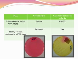 M.O. Crecimiento Caracteristicas de la
colonia
Staphylococcus aureas
ATCC 25923
Bueno Amarillo
Staphylococcus
epidermidis ATCC 14990
Excelente Rojo
 