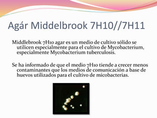 Agár Middelbrook 7H10//7H11
Middlebrook 7H10 agar es un medio de cultivo sólido se
utilicen especialmente para el cultivo de Mycobacterium,
especialmente Mycobacterium tuberculosis.
Se ha informado de que el medio 7H10 tiende a crecer menos
contaminantes que los medios de comunicación a base de
huevos utilizados para el cultivo de micobacterias.
 