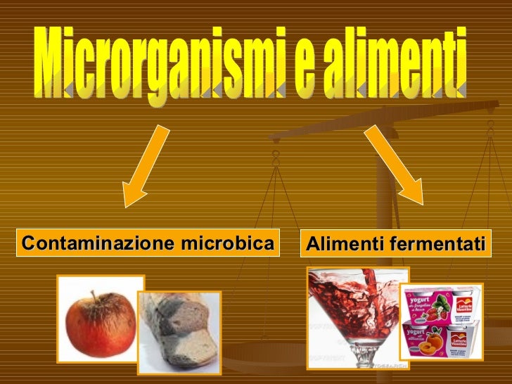 alimenti microbiologia contaminazione microrganismi microbica fermentati