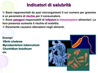 Indicatori di salubrità <ul><li>Sono rappresentati da quei microrganismi il cui numero per grammo è un parametro di  risch...