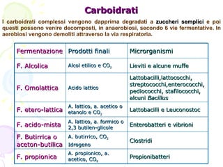 Carboidrati I carboidrati complessi vengono dapprima degradati a  zuccheri semplici  e poi questi possono venire decompost...