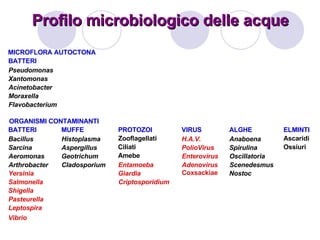Profilo microbiologico delle acque MICROFLORA AUTOCTONA BATTERI Pseudomonas Xantomonas Acinetobacter Moraxella Flavobacter...