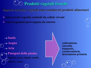 Prodotti vegetali freschi <ul><li>Suolo </li></ul><ul><li>Acqua </li></ul><ul><li>Aria </li></ul><ul><li>Patogeni della pi...