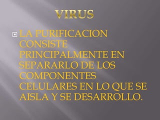  LA

PURIFICACION
CONSISTE
PRINCIPALMENTE EN
SEPARARLO DE LOS
COMPONENTES
CELULARES EN LO QUE SE
AISLA Y SE DESARROLLO.

 