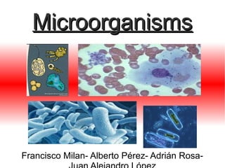 Microorganisms

Francisco Milan- Alberto Pérez- Adrián Rosa-

 