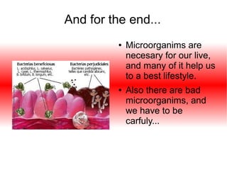 And for the end...
●

●

Microorganims are
necesary for our live,
and many of it help us
to a best lifestyle.
Also there are bad
microorganims, and
we have to be
carfuly...

 