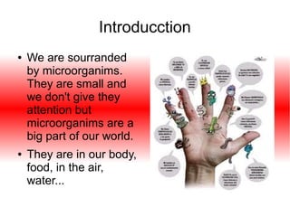Introducction
●

●

We are sourranded
by microorganims.
They are small and
we don't give they
attention but
microorganims are a
big part of our world.
They are in our body,
food, in the air,
water...

 
