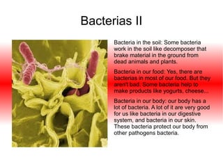 Bacterias II
Bacteria in the soil: Some bacteria
work in the soil like decomposer that
brake material in the ground from
dead animals and plants.
Bacteria in our food: Yes, there are
bacterias in most of our food. But they
aren't bad. Some bacteria help to
make products like yogurts, cheese...
Bacteria in our body: our body has a
lot of bacteria. A lot of it are very good
for us like bacteria in our digestive
system, and bacteria in our skin.
These bacteria protect our body from
other pathogens bacteria.

 