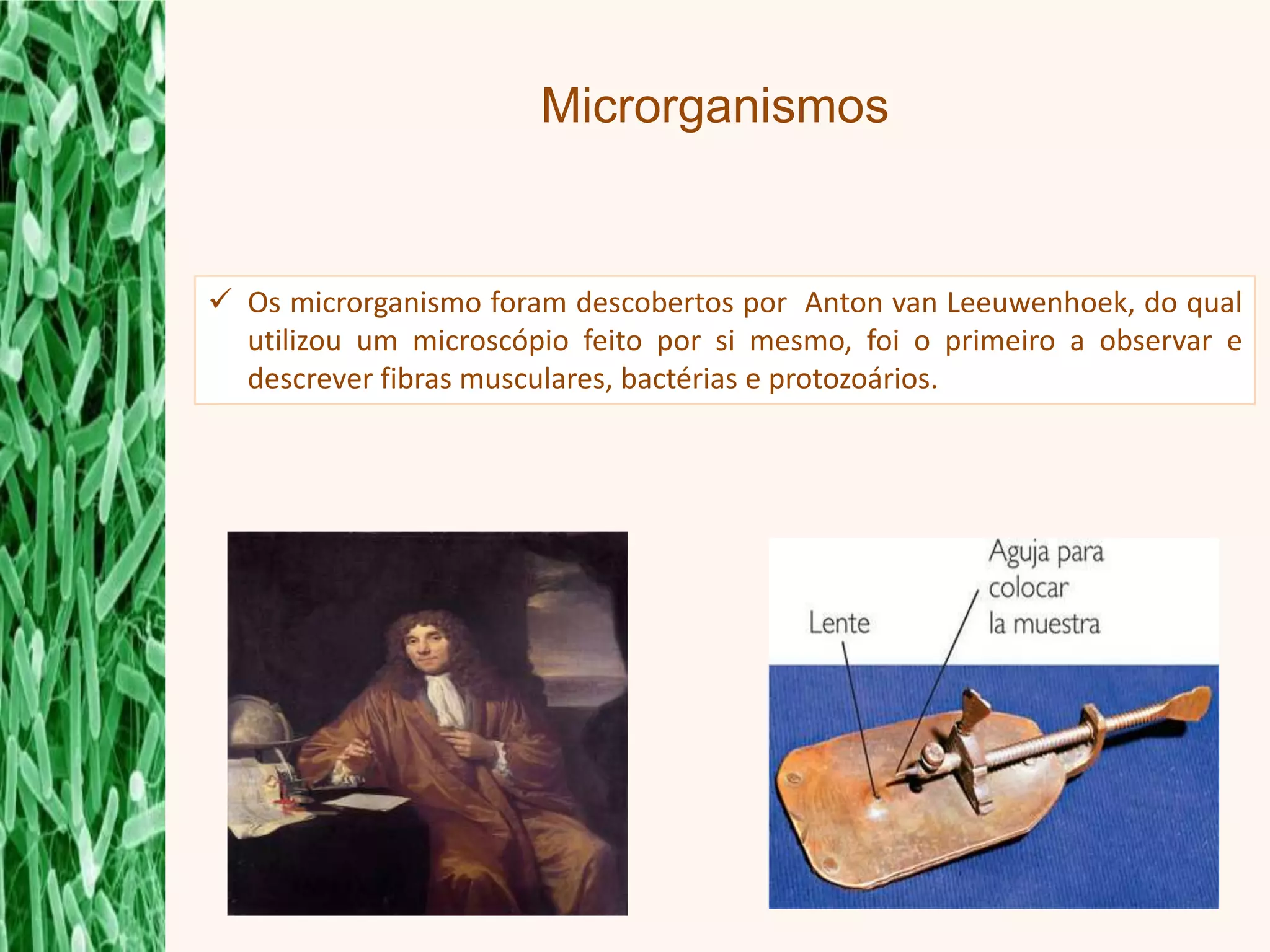 Microbilogia: Microrganismos Utilizados na Produção de Medicamentos ...