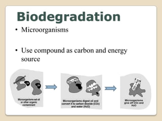 Biodegradation Examples Pesticides Degradation Through Microorganisms (Biodegradtion) | PPTX
