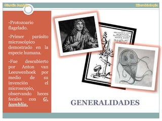GENERALIDADES
-Protozoario
flagelado.
-Primer parásito
microscópico
demostrado en la
especie humana.
-Fue descubierto
por Anton van
Leeuwenhoek por
medio de su
invención el
microscopio,
observando heces
fecales con G.
lamblia.
 