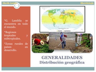 GENERALIDADES
Distribución geográfica
*G. Lamblia se
encuentra en todo
el mundo.
*Regiones
tropicales y
subtropicales.
*Zonas rurales de
países en
desarrollo.
 