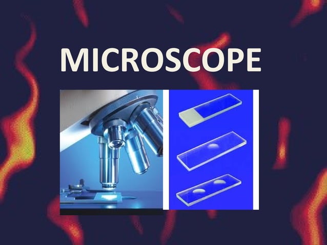 Microbiology (Microscope) | PPT | Chemistry | Science