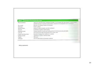 61 
Maiting: apareamiento 
 