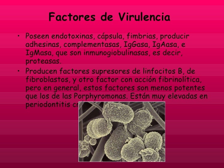 Factores De Virulencia De Bacterias Periodontales
