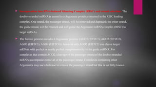  Incorporation into RNA-Induced Silencing Complex (RISC) and strand selection: The
double-stranded miRNA is passed to a Argonaute protein contained in the RISC loading
complex. One strand, the passenger strand, will be removed and degraded; the other strand,
the guide strand, will be retained and will guide the Argonaute:miRNA complex (RISC) to
target mRNAs.
 The human genome encodes 4 Argonaute proteins (AGO1 (EIF2C1), AGO2 (EIF2C2),
AGO3 (EIF2C3), AGO4 (EIF2C4)), however only AGO2 (EIF2C2) can cleave target
mRNAs with perfect or nearly perfect complementarity to the guide miRNA. For
complexes that contain AGO2, cleavage of the passenger strand of the double-stranded
miRNA accompanies removal of the passenger strand. Complexes containing other
Argonautes may use a helicase to remove the passenger strand but this is not fully known.
 