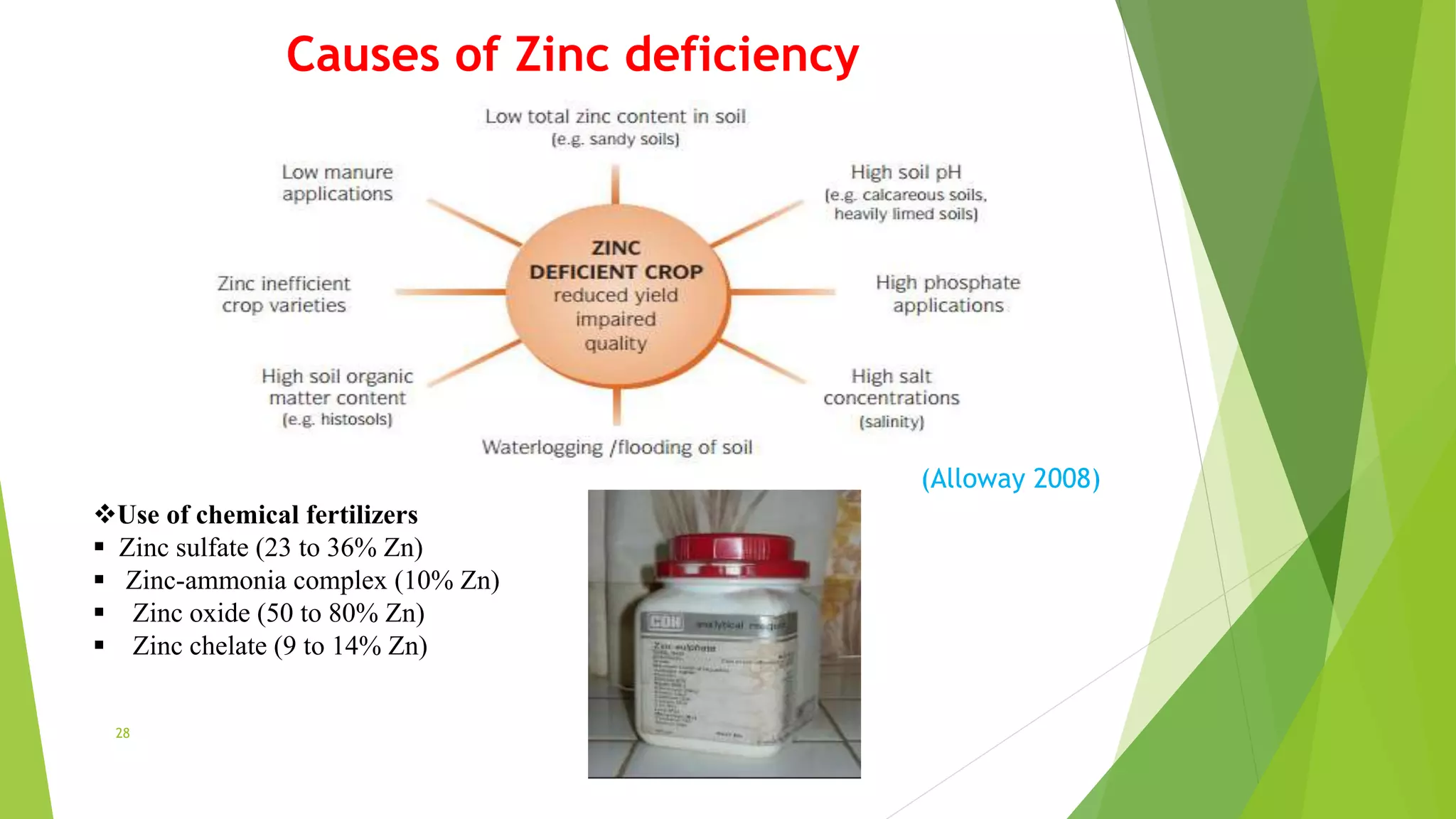 Role of micro nutrients and their deficiency symptoms in Mulberry | PPTX