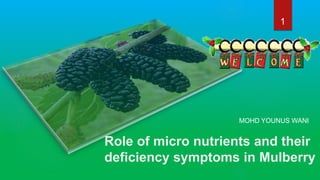 Role of micro nutrients and their
deficiency symptoms in Mulberry
MOHD YOUNUS WANI
1
 