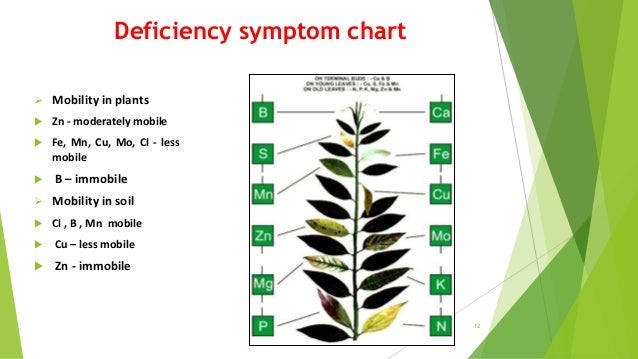 Deficiency Chart Of Micronutrients