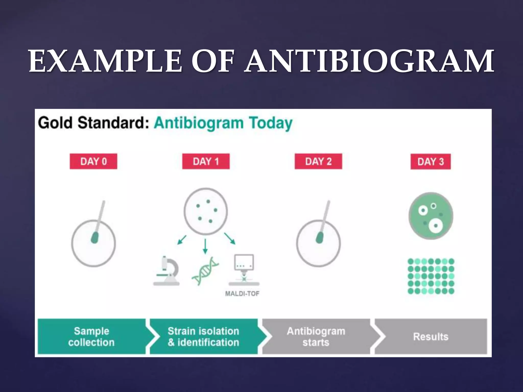 EXAMPLE OF ANTIBIOGRAM
 