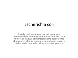 Escherichia coli
E. coli es microbiota normal del tracto gas-
trointestinal del hombre y numerosos animales. En el
hombre constituye el microorganismo aerobio más
abundante y alcanza concentraciones bacterianas en
las heces del orden de 109 bacterias por gramo.v
 