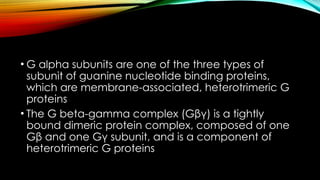 g protein coupled receptors helps to identift how 3 diff typrs of ...