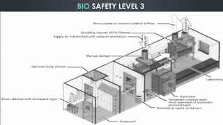 Laboratory Risk Level Biosafety levels from 1-4 in Laboratories | PPTX