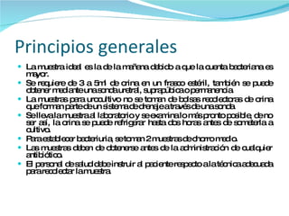Principios generales La muestra ideal es la de la mañana debido a que la cuenta bacteriana es mayor. Se requiere de 3 a 5ml de orina en un frasco estéril, también se puede obtener mediante una sonda uretral, suprapúbica o permanencia. La muestras para urocultivo no se toman de bolsas recolectoras de orina que forman parte de un sistema de drenaje a través de una sonda.  Se lleva la muestra al laboratorio y se examina lo más pronto posible, de no ser así, la orina se puede refrigerar hasta dos horas antes de someterla a cultivo. Para establecer bacteriuria, se toman 2 muestras de chorro medio. Las muestras deben de obtenerse antes de la administración de cualquier antibiótico. El personal de salud debe instruir al paciente respecto a la técnica adecuada para recolectar la muestra. 