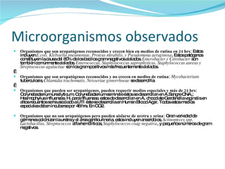 Microorganismos observados Organismos que son uropatógenos reconocidos y crecen bien en medios de rutina en 24 hrs:  Estos incluyen  E.coli, Klebsiella pneumoniae, Proteus mirabilis, y Pseudomona aeruginosa . Estos patógenos constituyen la causa del 80% de los bacilos gram negativos aislados.  Enterobacter y Citrobacter  son también comúnmente aislados.  Enterococcus, Staphylococcus saprophyticus, Staphylococcus aureus y Streptococcus agalactiae  son los gram positivos más frecuentemente aislados.   Organismos que son uropatógenos reconocidos y no crecen en medios de rutina:   Mycobacterium  tuberculosis,  Chlamidia trachomatis, Neisseriae gonorrhoeae  se desarrollla.    Organismos que pueden ser uropatógenos, pueden requerir medios especiales y más de 24 hrs:  Corynebacterium urealyticum, Corynebacterium seminale éstos se desarrollan en A.Sangre CNA.; Haemophylus influenzae, H. parainfluenzae, estos de desarrollan en A. chocolate Gardenella vaginalis en altos recuentos se ha asociado a UTI éste se desarrolla en Human Blood Agar. Todos estos medios especiales deben incubarse por 48 hrs. En CO2.   Organismos que no son uropatógenos pero pueden aislarse de uretra y orina:  Gran variedad de gérmenes colonizan la uretra y el área genitourinaria, estos incluyen anaerobios,  Actinomyces spp,   Lactobacillus, Streptococcos  alfa-hemolíticos,  Staphylococcos coag-negativa , y pequeños números de gram negativos. 
