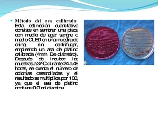 Método del asa calibrada:  Esta estimación cuantitativa consiste en sembrar una placa con medio de agar sangre o medio CLED en una muestra de orina, sin centrifugar, empleando un asa de platino calibrada (4mm. De diámetro). Después de incubar las muestras a 37 0 C durante 24 a 48 horas, se cuenta el número de colonias desarrolladas y el resultado se multiplica por 100, ya que el asa de platino contiene 0.01ml de orina. 