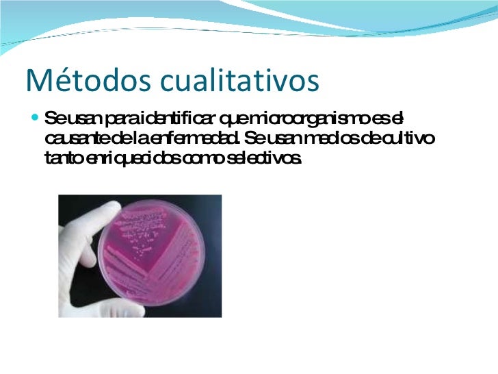 Urocultivo