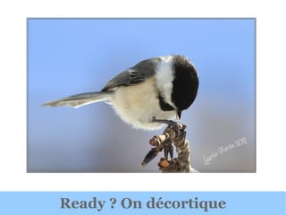 Ready ? On décortique
 