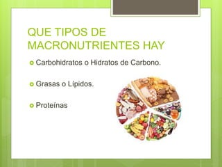 QUE TIPOS DE
MACRONUTRIENTES HAY
 Carbohidratos o Hidratos de Carbono.
 Grasas o Lípidos.
 Proteínas
 