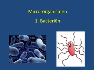 Micro-organismen 
1. Bacteriën 
1 
 