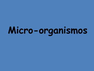 Micro-organismos
 