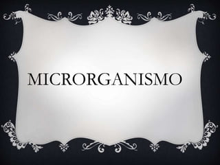 MICRORGANISMO
 