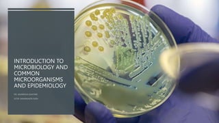 INTRODUCTION TO
MICROBIOLOGY AND
COMMON
MICROORGANISMS
AND EPIDEMIOLOGY
 