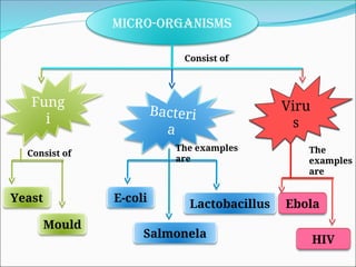 micro-organisms- Bhavin Chaudhary Class 8.ppt