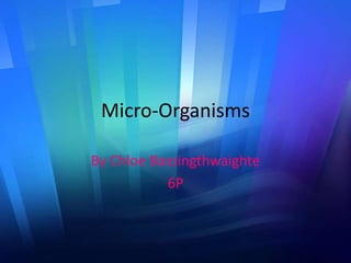 Micro-Organisms By Chloe Bassingthwaighte  6P 