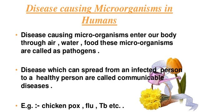 Organisms Causing Food Poisoning Organisms Causing Food Poisoning
