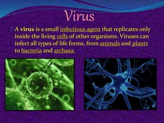 Virus
A virus is a small infectious agent that replicates only
inside the living cells of other organisms. Viruses can
infect all types of life forms, from animals and plants
to bacteria and archaea.
 