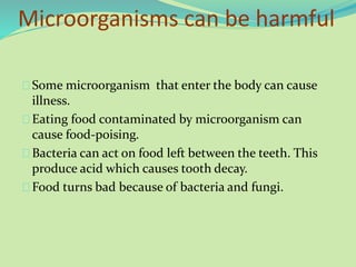 Microorganisms can be harmful
Some microorganism that enter the body can cause
illness.
Eating food contaminated by microorganism can
cause food-poising.
Bacteria can act on food left between the teeth. This
produce acid which causes tooth decay.
Food turns bad because of bacteria and fungi.
 