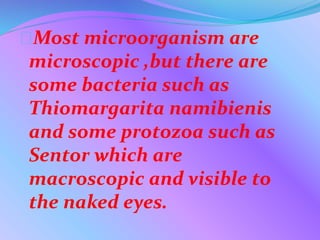 Most microorganism are
microscopic ,but there are
some bacteria such as
Thiomargarita namibienis
and some protozoa such as
Sentor which are
macroscopic and visible to
the naked eyes.
 