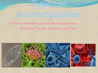 Types of
microorganisms
There are different types of microorganisms –
Protozoa ,Fungus ,Bacteria and Virus
 