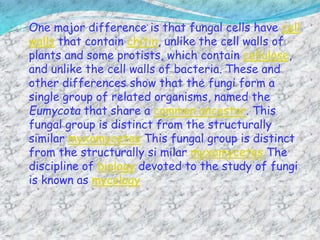 One major difference is that fungal cells have cell
walls that contain chitin, unlike the cell walls of
plants and some protists, which contain cellulose,
and unlike the cell walls of bacteria. These and
other differences show that the fungi form a
single group of related organisms, named the
Eumycota that share a common ancestor. This
fungal group is distinct from the structurally
similar myxomycetes This fungal group is distinct
from the structurally si milar myxomycetes The
discipline of biology devoted to the study of fungi
is known as mycology
 